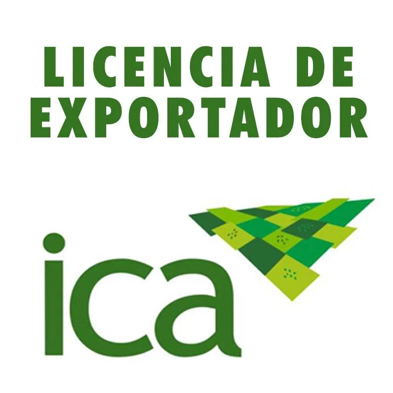 ICA