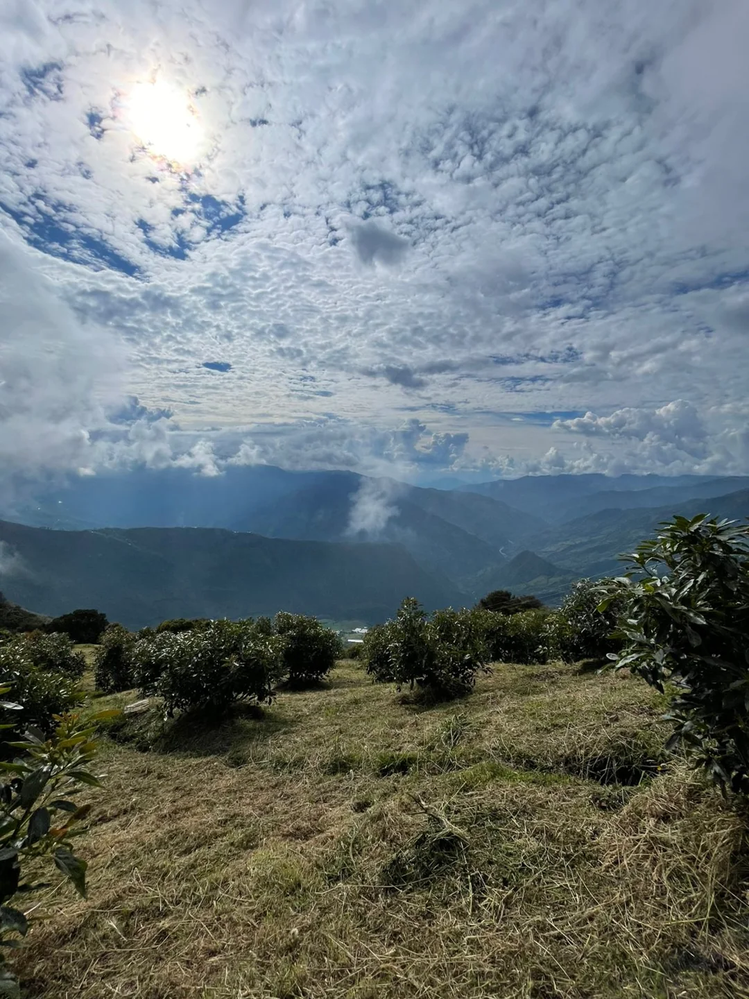 Paisaje de Monteamor