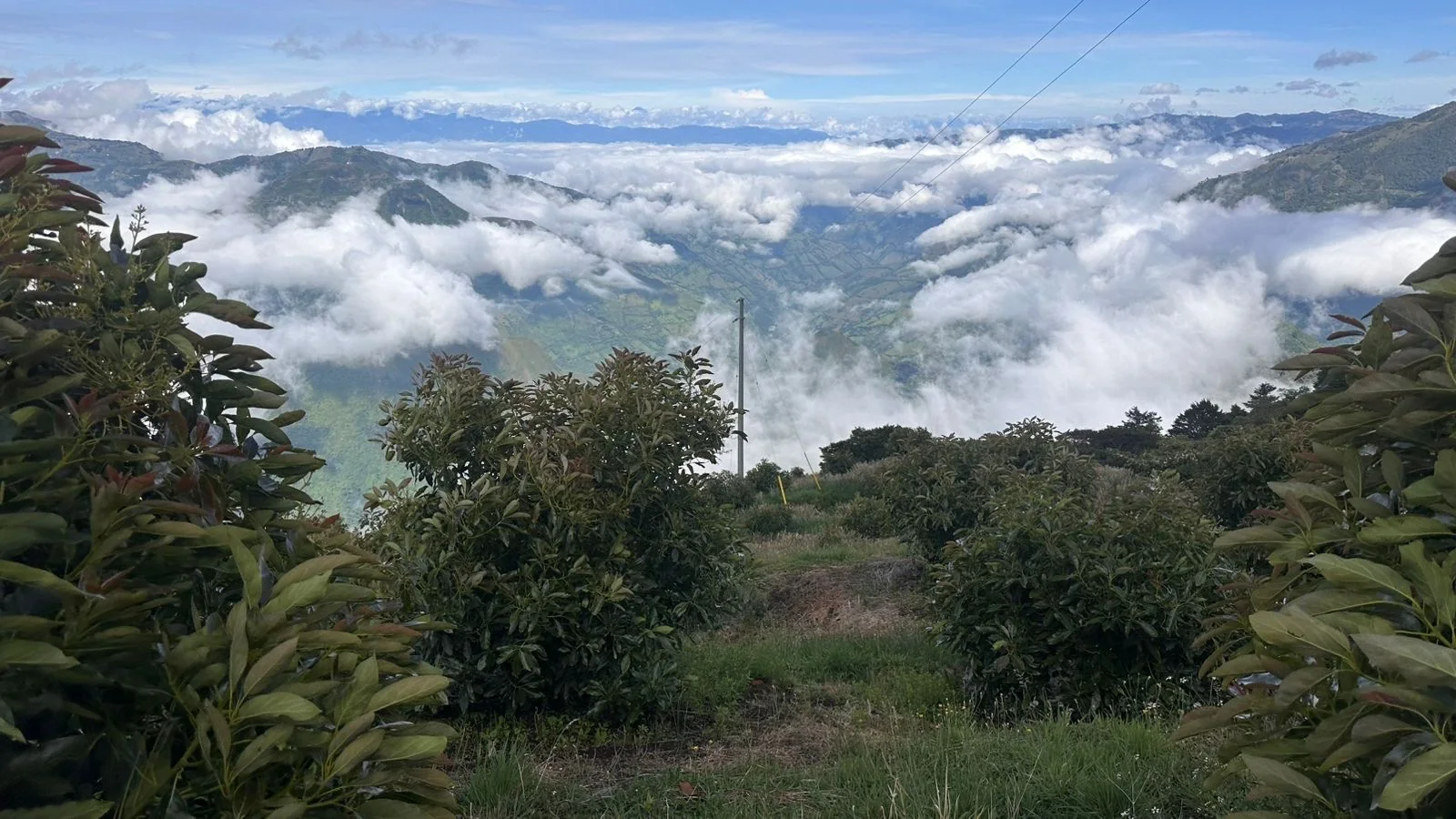 Paisaje de Monteamor, Sonsón