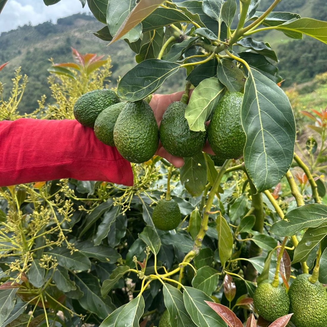 c536d764-6490-4e2f-bcfb-c9fe8294a76a